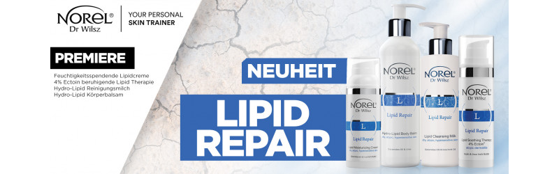 Lipid Repair